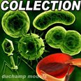 hi-res cell collection